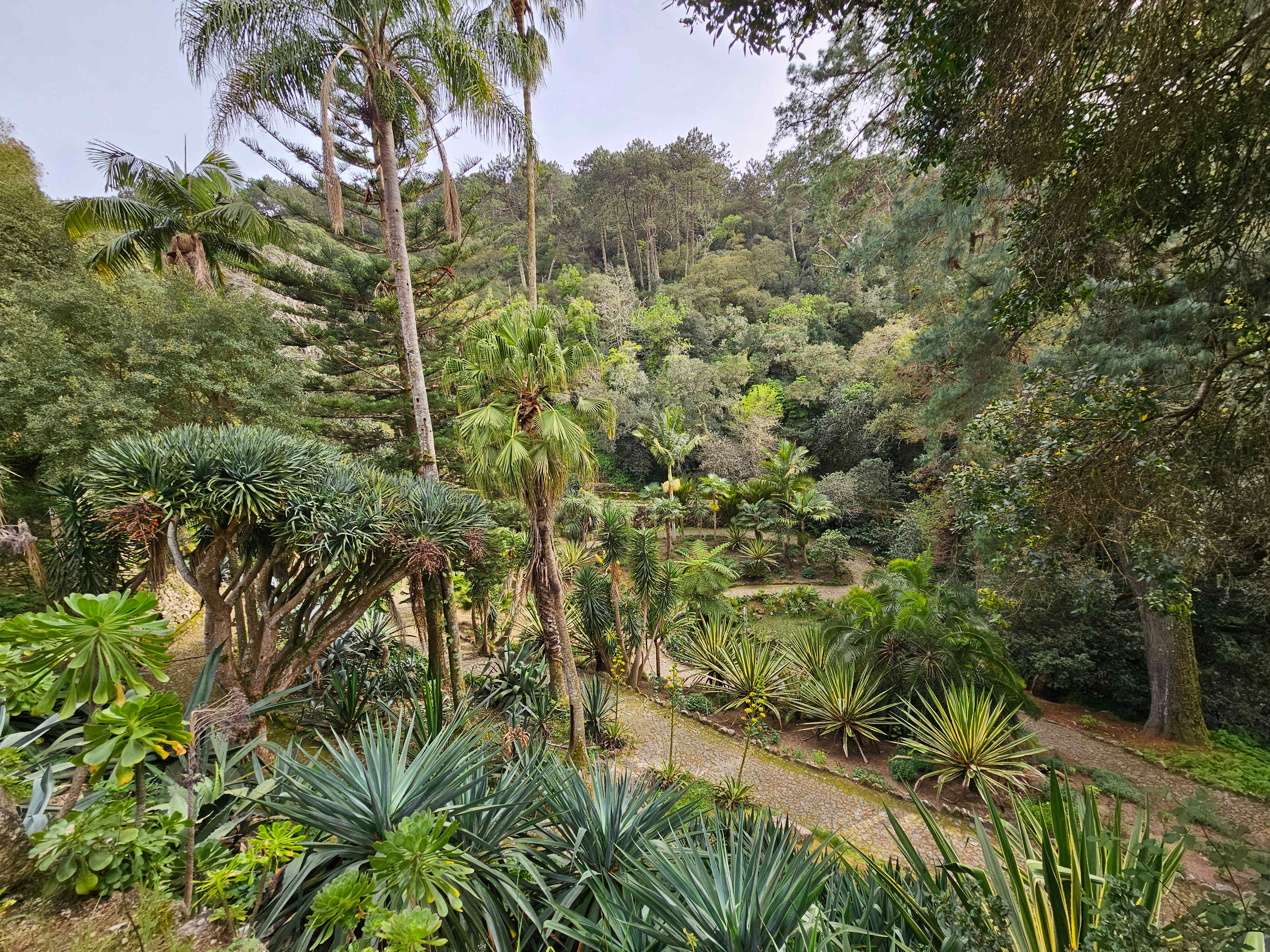 Sintra